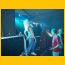 DSC00144.jpg